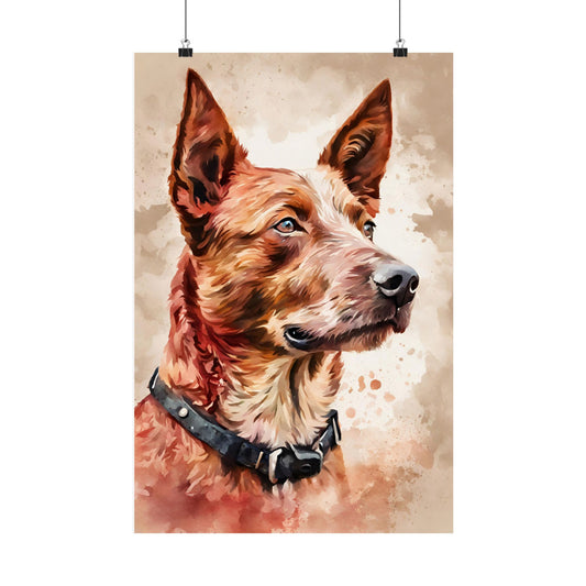 Dogs Australian Red Heeler 01 Matte Vertical Poster