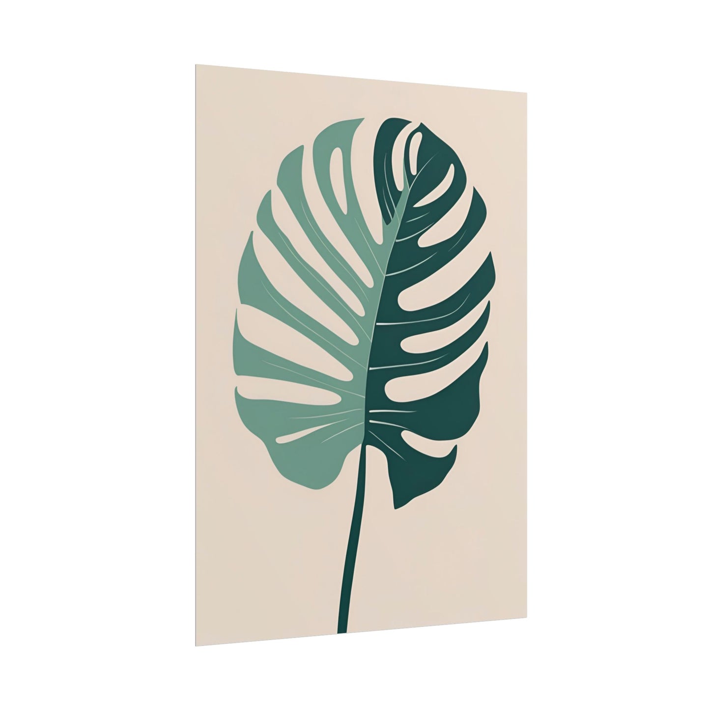 Emily monstera 4