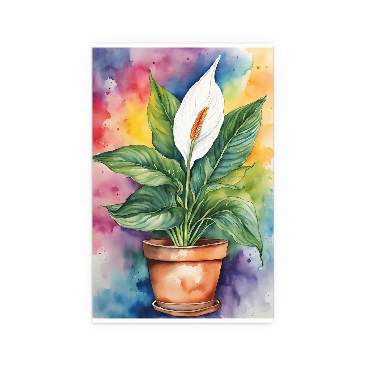 Multicolored Pot Plant 16 Indoor and Outdoor Silk Poster