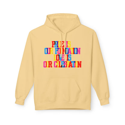 Pride Is Our Foundation Love Is Our Celebration Unisex Valentines Hoodie