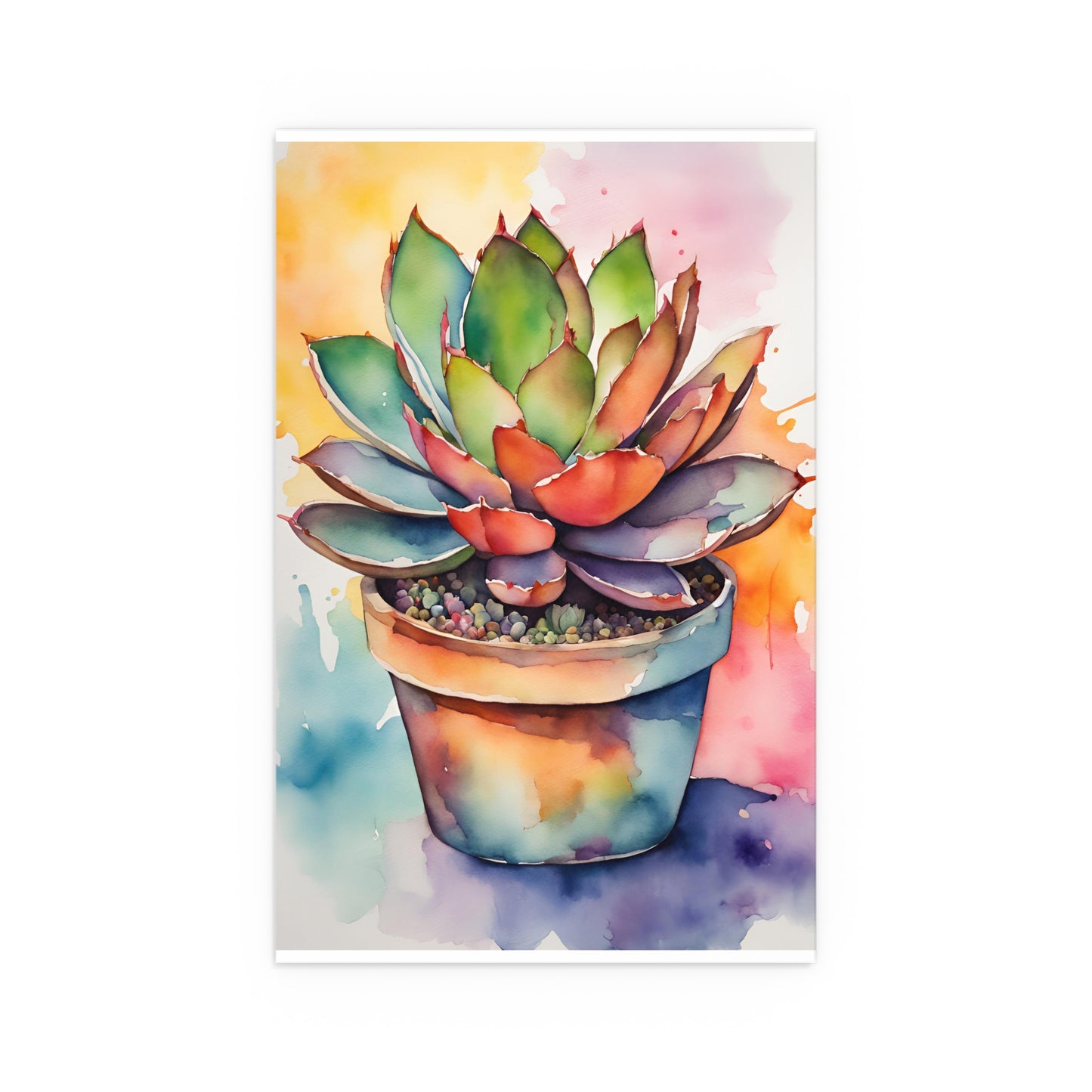 Multicolored Succulent 2 Indoor and Outdoor Silk Poster