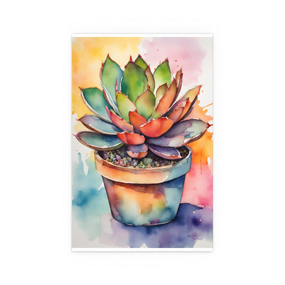 Multicolored Succulent 2 Indoor and Outdoor Silk Poster