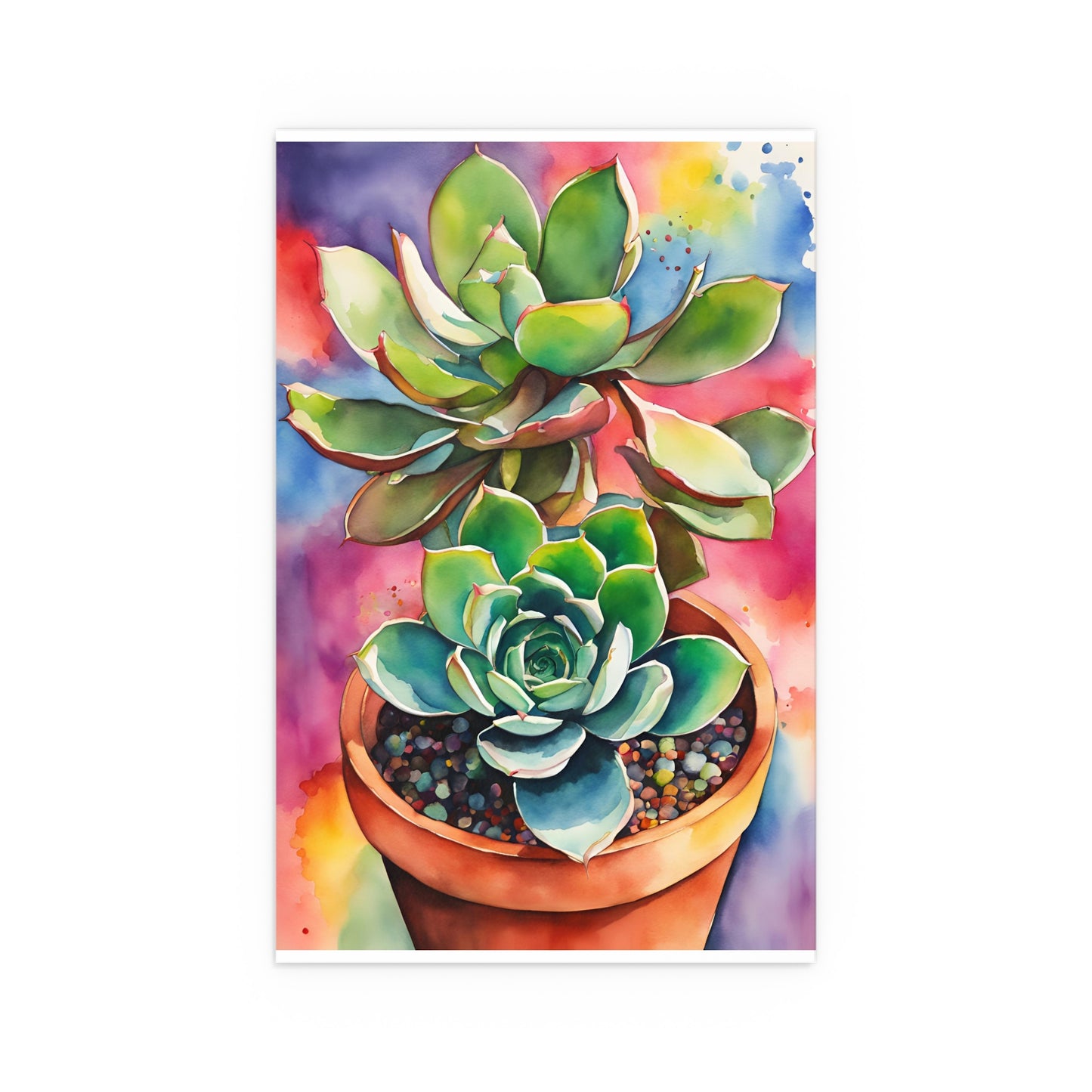 Multicolored Succulent 5 Indoor and Outdoor Silk Poster