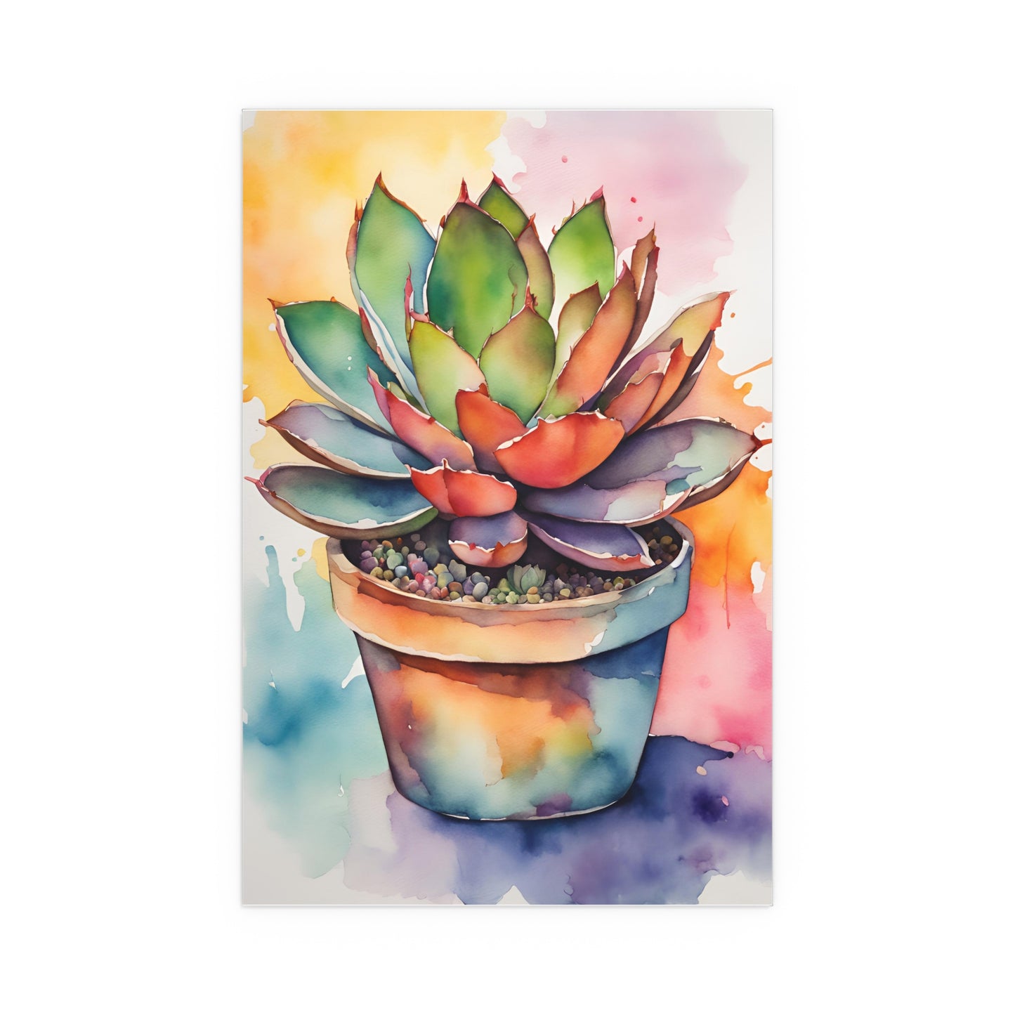 Multicolored Succulent 2 Indoor and Outdoor Silk Poster