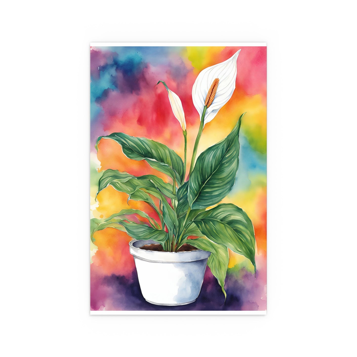 Multicolored Pot Plant 18 Indoor and Outdoor Silk Poster