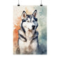 Dogs Husky 02 Matte Vertical Poster