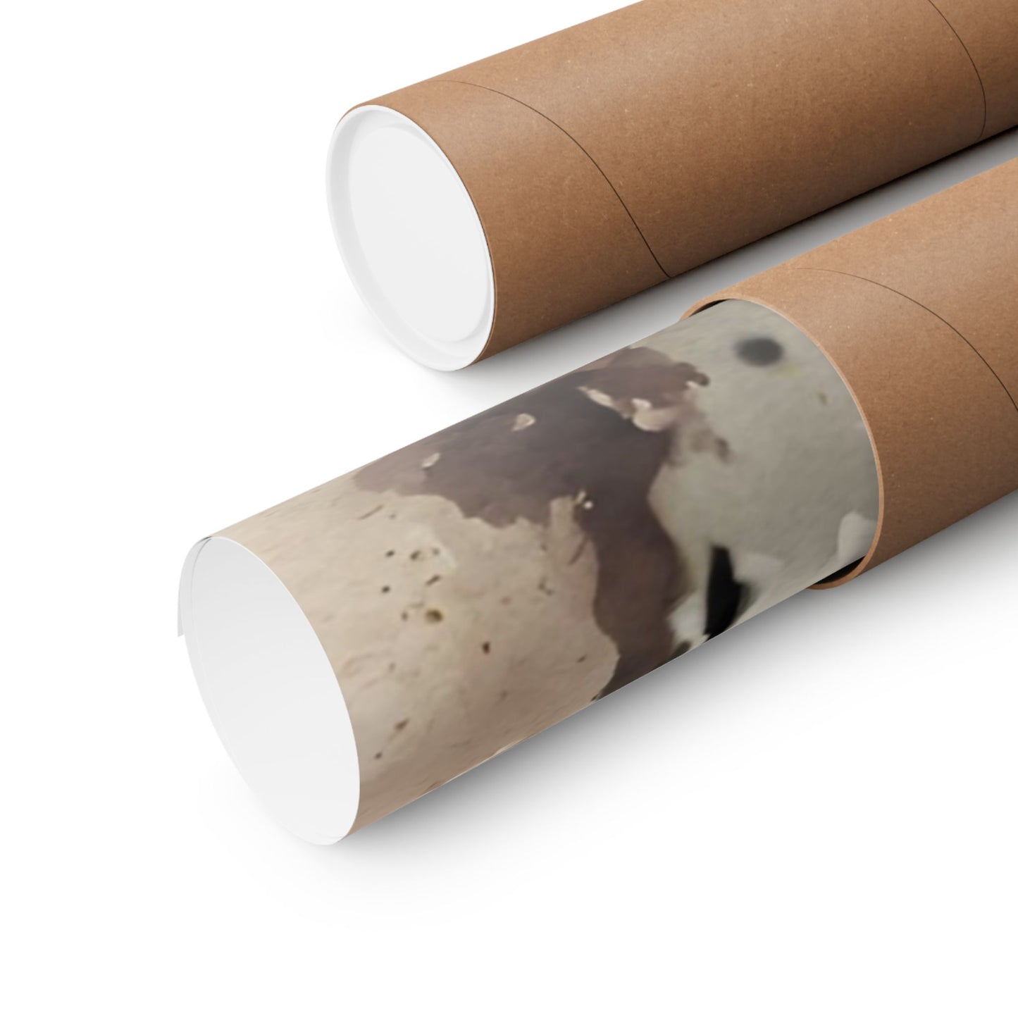 Dogs Pointer 03 Matte Vertical Poster