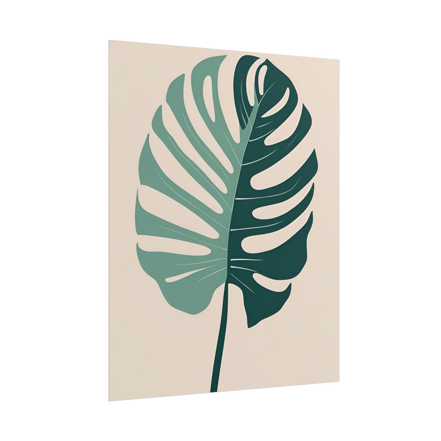 Emily monstera 4